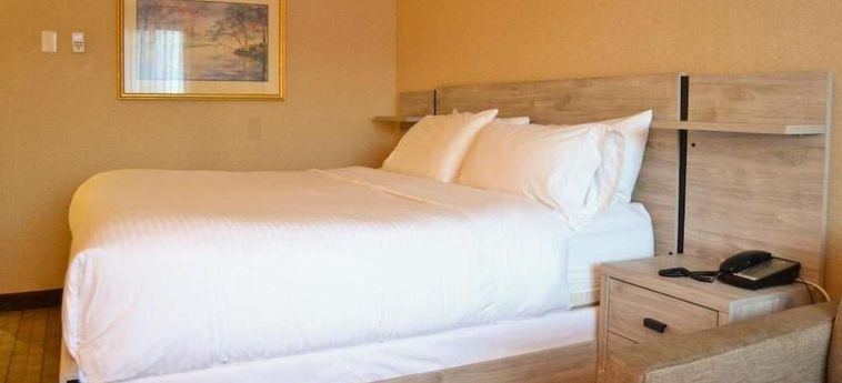 Hotel Amenida Residences Calgary : Photo 