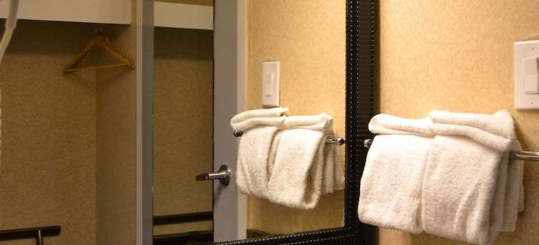 Hotel Amenida Residences Calgary : Photo 