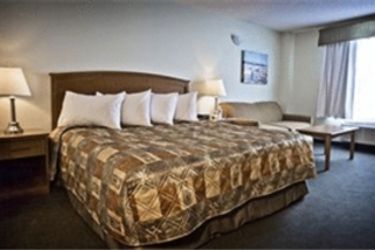 Hotel Service Plus Inn And Suites Calgary:  CALGARY