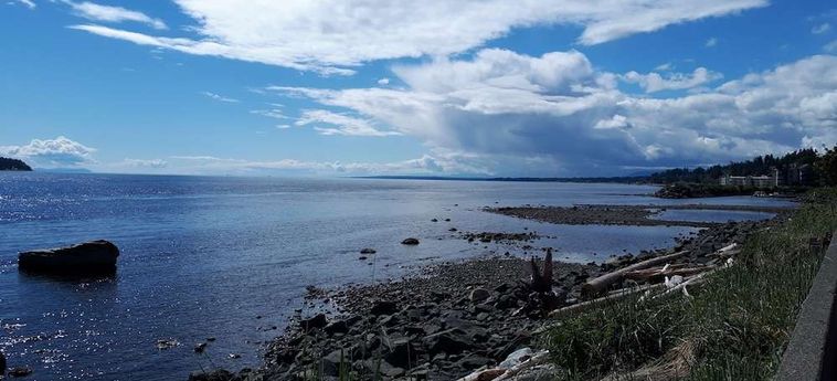 Hotel Anchor Inn &Amp; Suites, Bw Signature Collection Campbell River: Foto 
