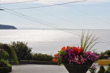 Hotel Anchor Inn &Amp; Suites, Bw Signature Collection Campbell River: Photo 