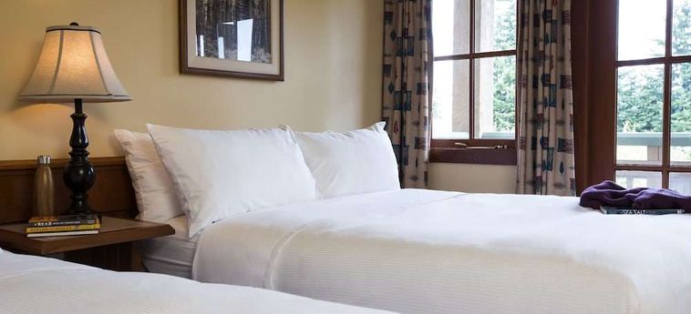 Hotel Painters Lodge, Trademark Collection By Wyndham Campbell River : Photo 