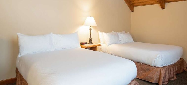 Hotel Painters Lodge, Trademark Collection By Wyndham Campbell River : Photo 