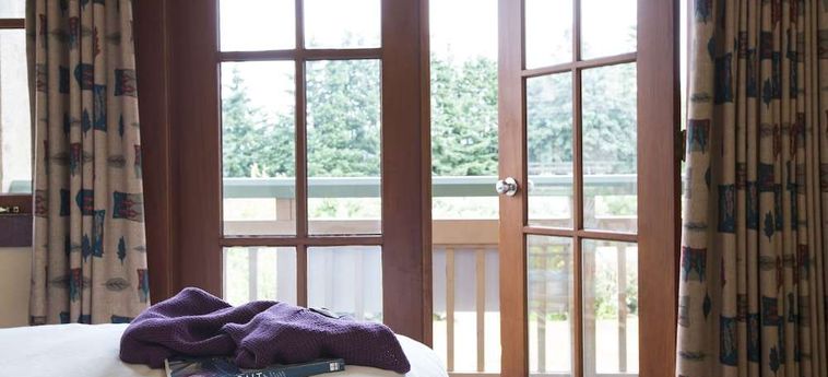 Hotel Painters Lodge, Trademark Collection By Wyndham Campbell River : Photo 
