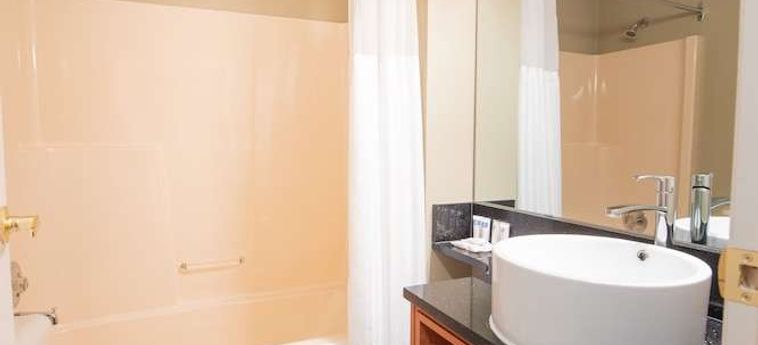 Hotel Painters Lodge, Trademark Collection By Wyndham Campbell River : Photo 