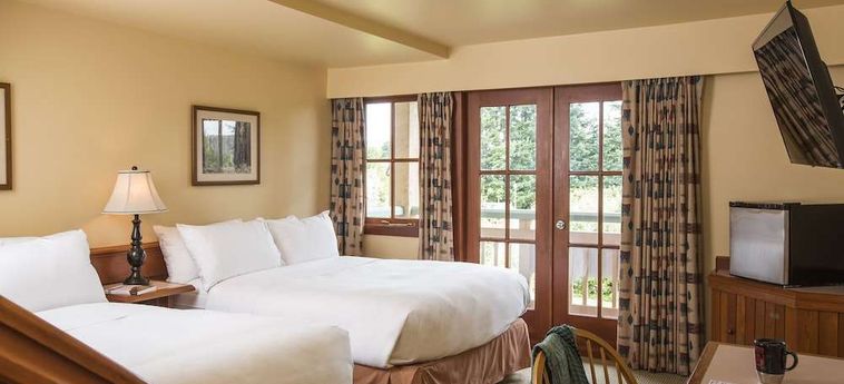 Hotel Painters Lodge, Trademark Collection By Wyndham Campbell River: Foto 