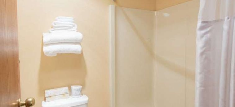 Hotel Painters Lodge, Trademark Collection By Wyndham Campbell River: Foto 