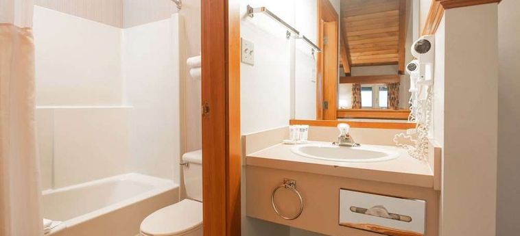 Hotel Painters Lodge, Trademark Collection By Wyndham Campbell River: Foto 