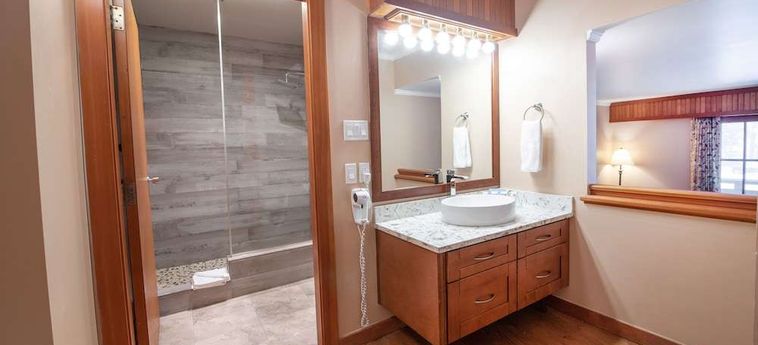 Hotel Painters Lodge, Trademark Collection By Wyndham Campbell River: Foto 