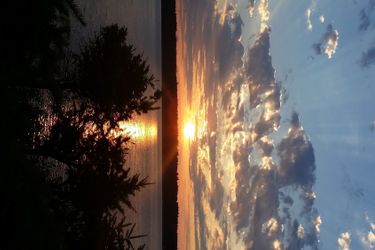 Hotel Above Tide Motel Campbell River: Photo 