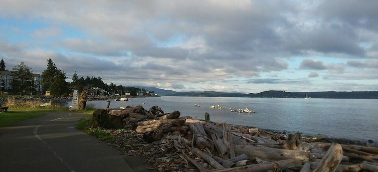 Hotel Big Rock Motel Campbell River: Foto 