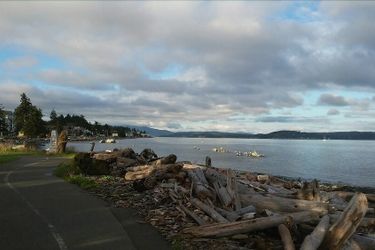 Hotel Big Rock Motel Campbell River: Photo 