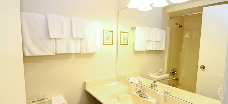 Heron's Landing Hotel Campbell River : Photo 