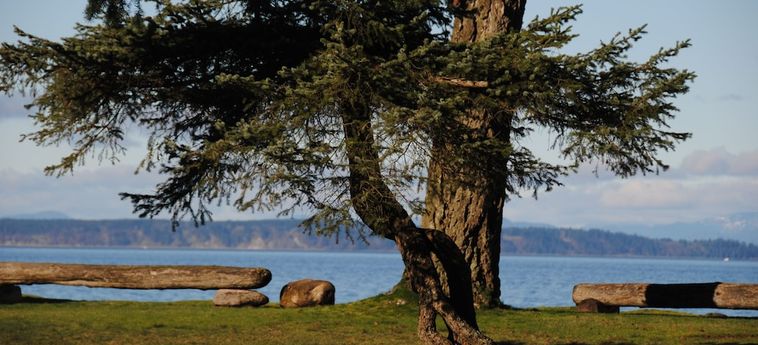 Hotel Ocean Resort Campbell River: Foto 