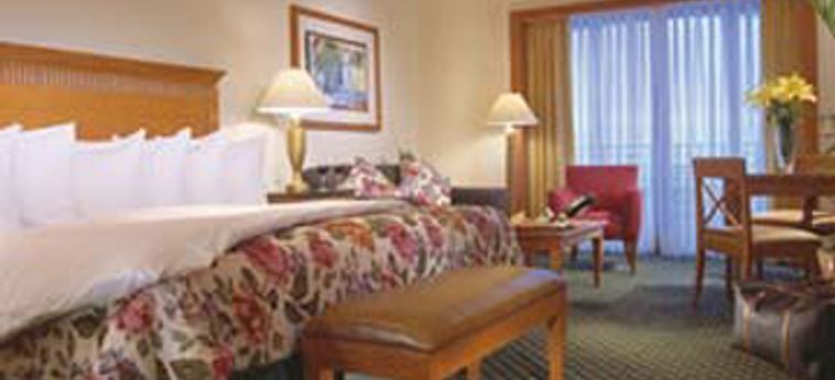 Hotel Jw Marriot Cancun Resort & Spa:  CANCUN