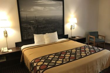 Hotel Super 8 By Wyndham Canonsburg/pittsburgh Area:  CANONSBURG (PA)