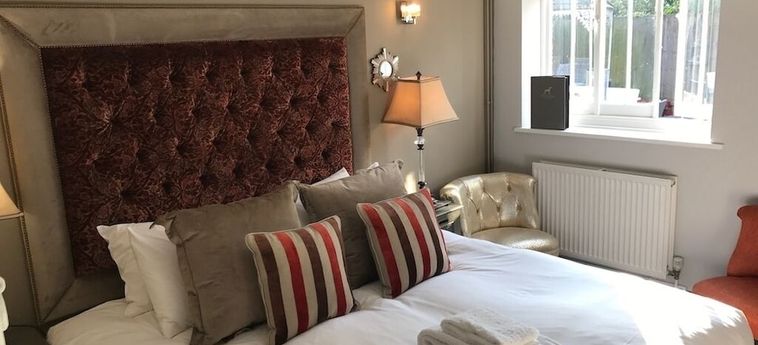 Hotel The Dog At Wingham Canterbury : Photo 