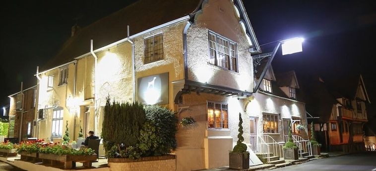 Hotel The Dog At Wingham Canterbury : Photo 