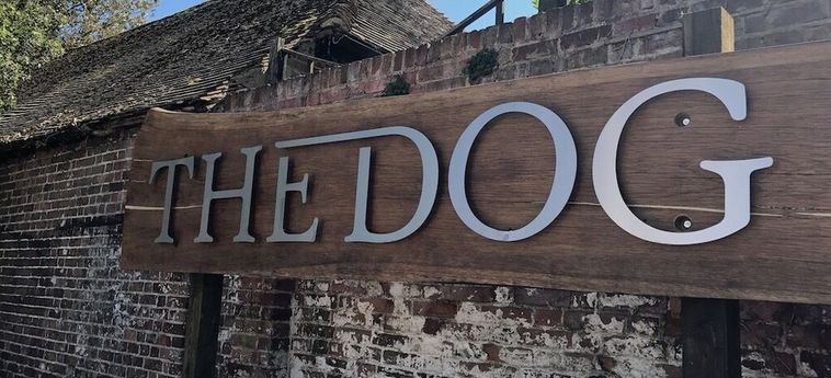 Hotel The Dog At Wingham Canterbury: Foto 
