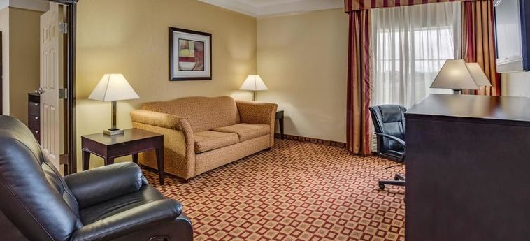 Hotel La Quinta Inn & Suites By Wyndham Canton Ms:  CANTON (MS)