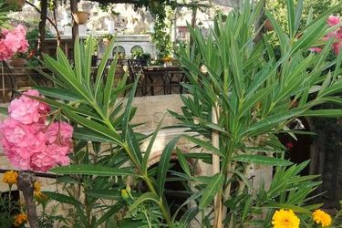 Melekler Evi Hotel Cappadocia: Photo 