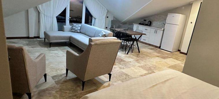 Hotel Avanos Ertas Konukevi Cappadocia: Foto 