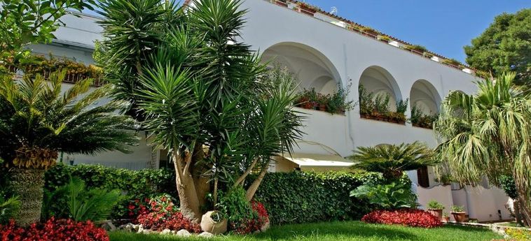 Hotel Villa San Felice:  CAPRI ISLAND - NAPLES
