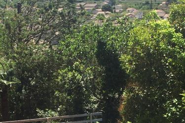 Hotel Vue Imprenable Sur Cité - Villa Rose Carcassonne: Photo 