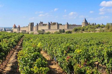 P'tit Dej-Hotel Audotel Carcassonne: Photo 