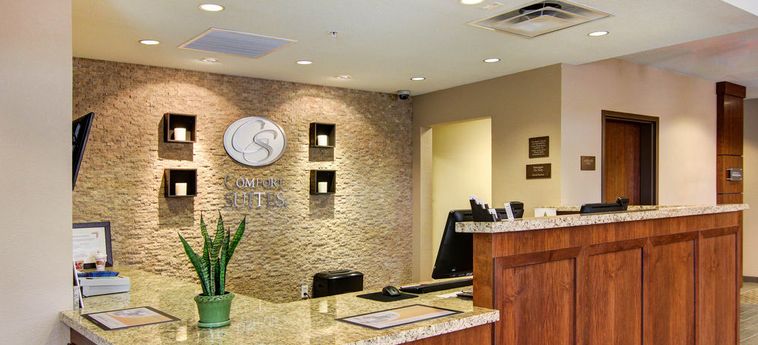 Hotel Comfort Suites Carlsbad:  CARLSBAD (NM)