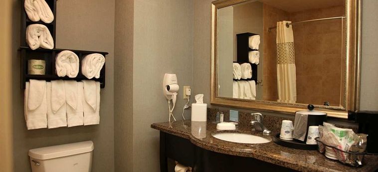Hotel Hampton Inn & Suites Carlsbad:  CARLSBAD (NM)