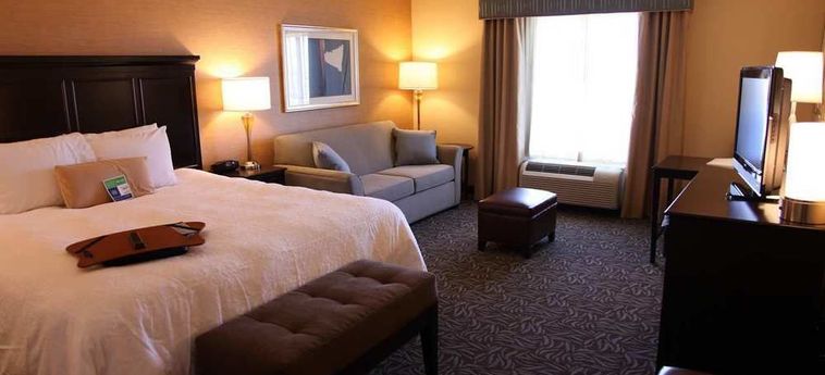 Hotel Hampton Inn & Suites Carlsbad:  CARLSBAD (NM)