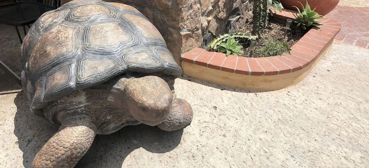 Casa Del Sol Carpinteria (Ca) : Photo 