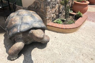 Casa Del Sol:  CARPINTERIA (CA)