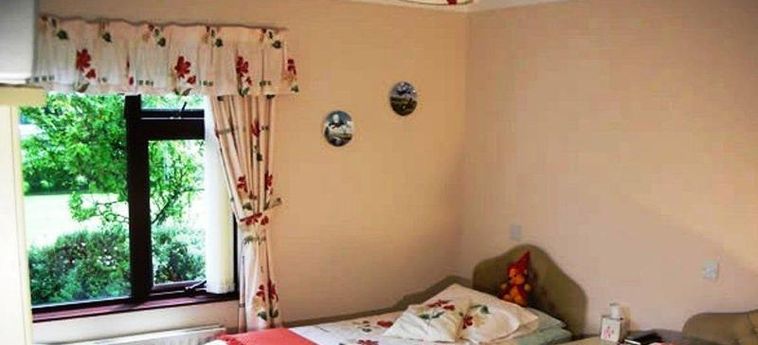 Hotel Beechgrove Carrickfergus: Foto 