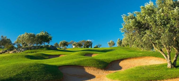 Hotel Noria Velha Carvoeiro - Algarve : Photo 