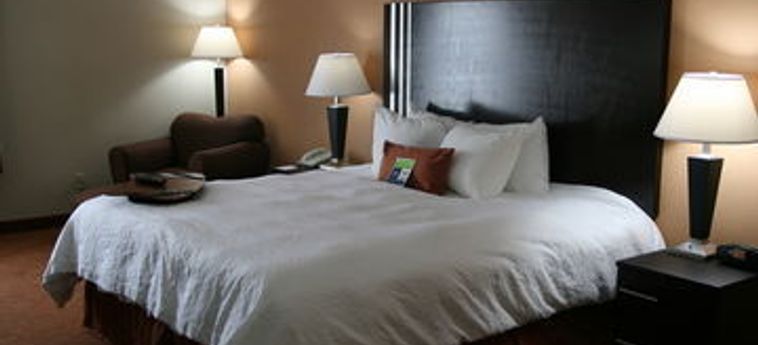 Hotel Hampton Inn Niagara Falls:  CASCATE DEL NIAGARA - USA (NY)