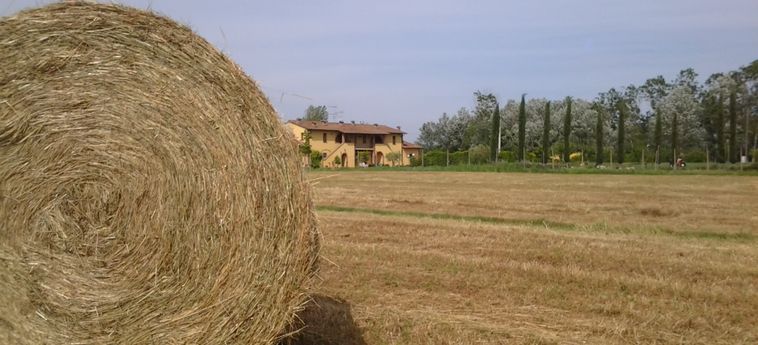 Agriturismo Il Chiassetto:  CASCINA - PISA
