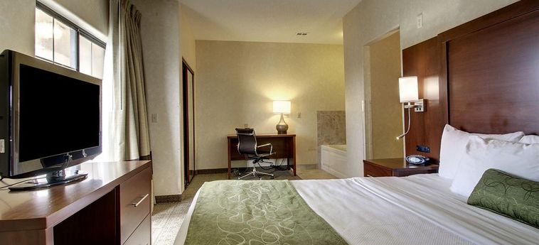 Hotel Comfort Suites Castle Rock:  CASTLE ROCK (CO)