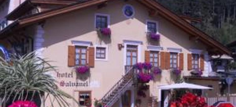 Hotel Salvanel Cavalese - Trento: Foto 