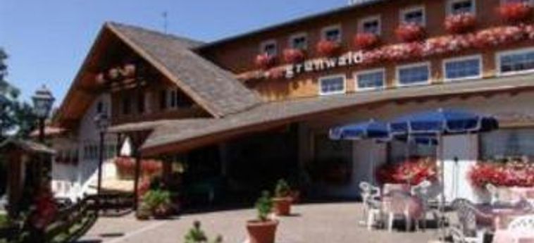 Hotel Relais Grünwald:  CAVALESE - TRENTO