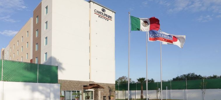 Hotel Candlewood Suites Celaya By Ihg  Celaya: Photo 