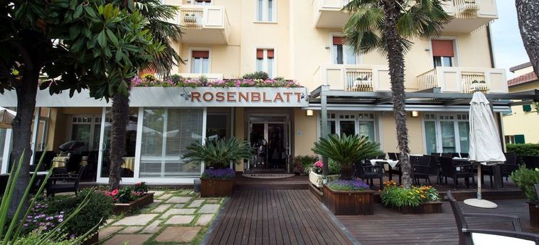 Hotel Rosenblatt:  CERVIA - RAVENNA