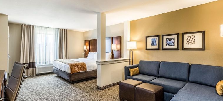 Hotel Comfort Suites, Channelview:  CHANNELVIEW (TX)