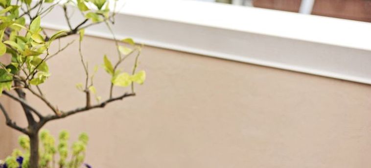 Hotel Planters Inn Charleston (Sc) : Photo 