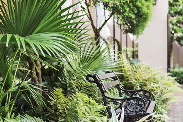 Hotel Planters Inn Charleston (Sc): Photo 