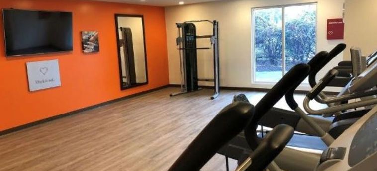 Hotel Comfort Suites North Charleston - Ashley Phosphate Charleston (Sc): Foto 