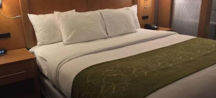 Hotel Comfort Suites North Charleston - Ashley Phosphate Charleston (Sc): Foto 
