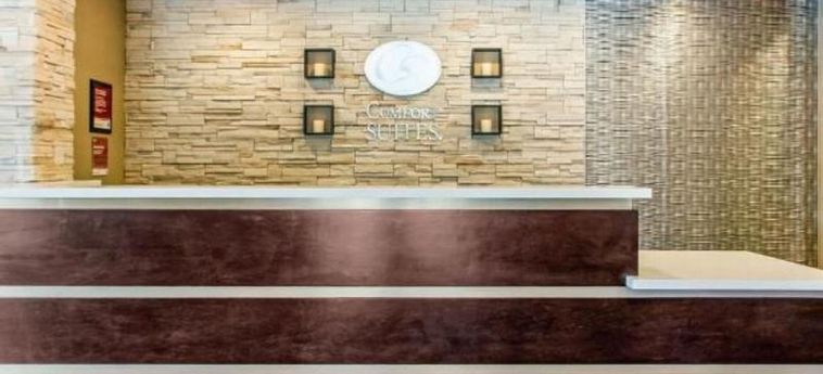 Hotel Comfort Suites North Charleston - Ashley Phosphate Charleston (Sc): Foto 