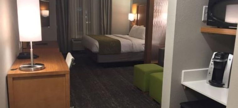 Hotel Comfort Suites North Charleston - Ashley Phosphate Charleston (Sc): Foto 